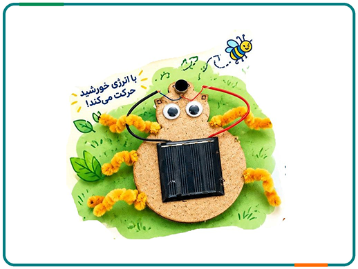حشره خورشیدی